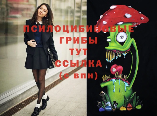 соль курить ск Армянск