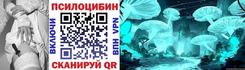 дарнет шоп Рошаль Псилоцибиновые грибы MAGIC MUSHROOMS